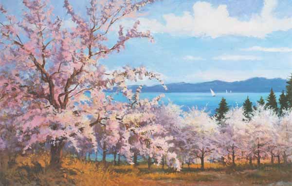 Glacier National Park - Cherry Blossoms - Giclée